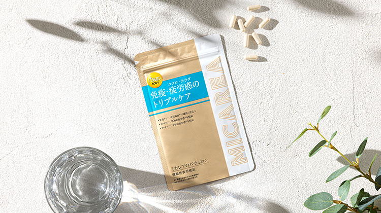 ミカレアのパラミロンｉ