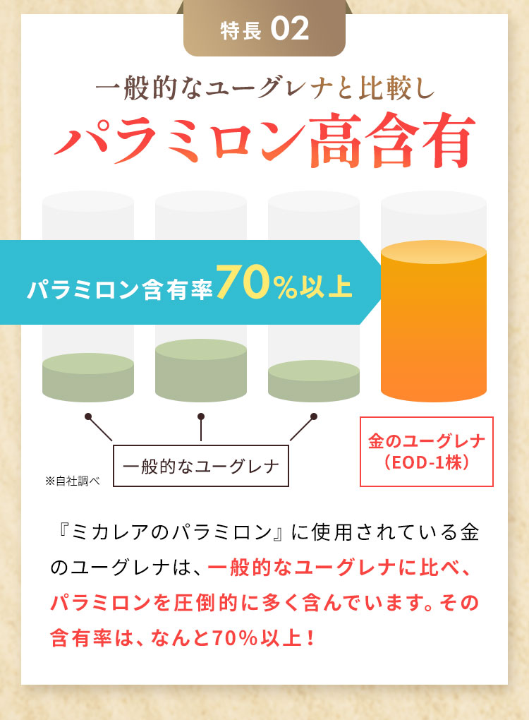 一般的なユーグレナと比較しパラミロン高含有