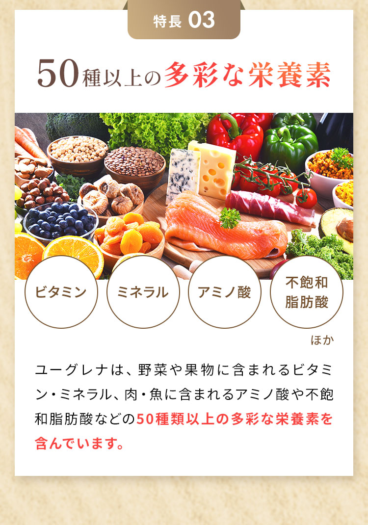 50種以上の多彩な栄養素