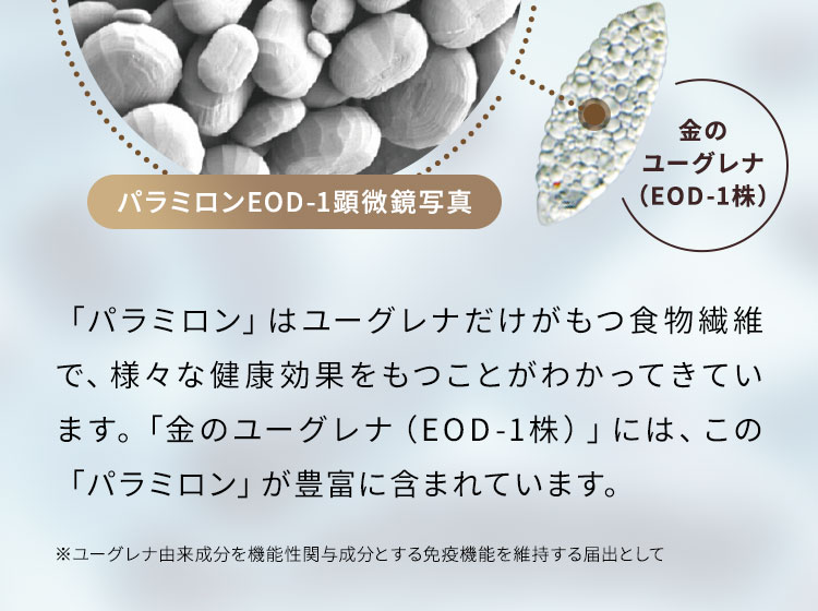 「パラミロン」はユーグレナだけがもつ食物繊維で、様々な健康効果をもつことがわかってきています。