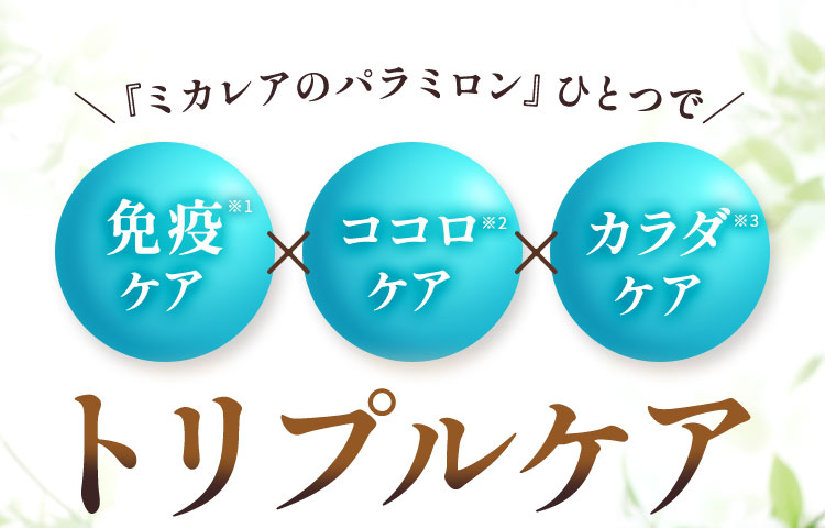 ＼『ミカレアのパラミロン』ひとつで／