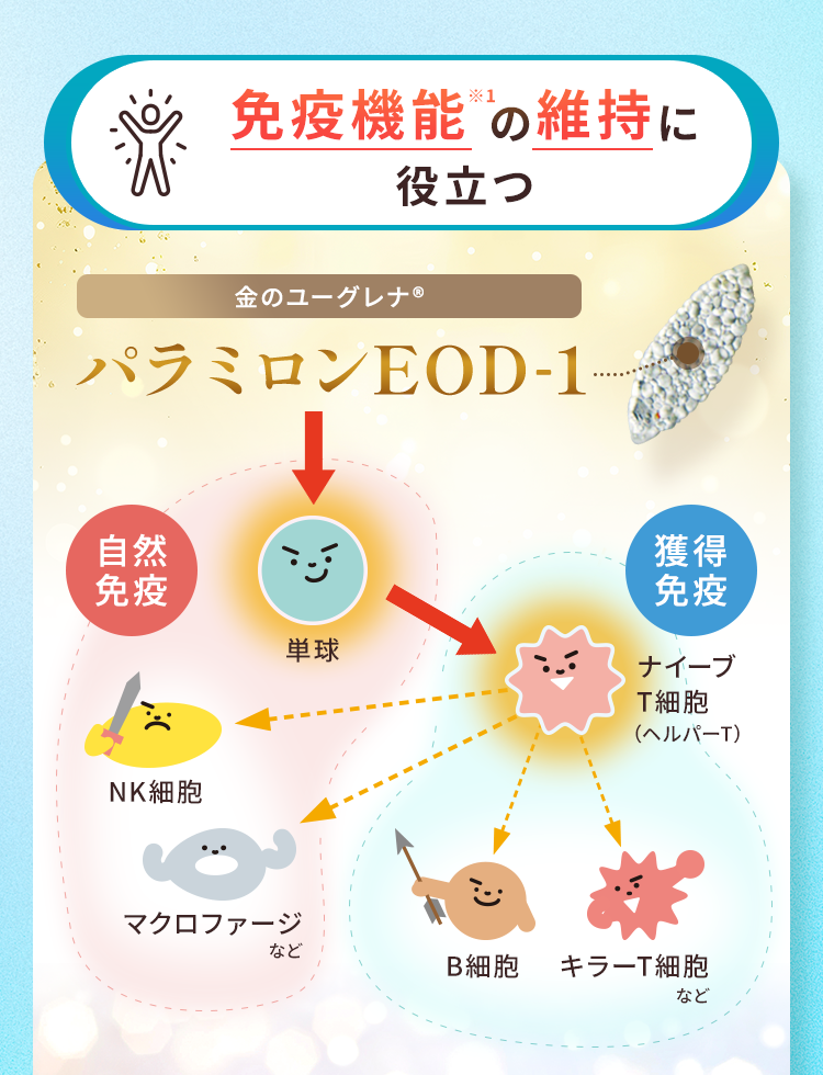 免疫機能※1の維持に役立つ